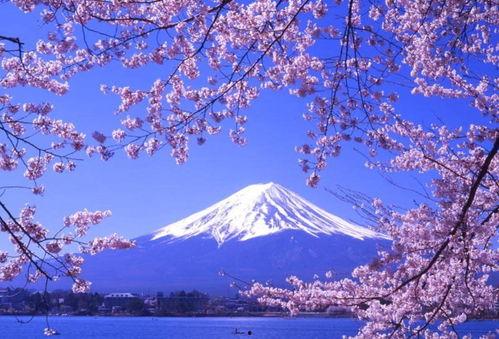 日本东月,探寻日本传统工艺之美