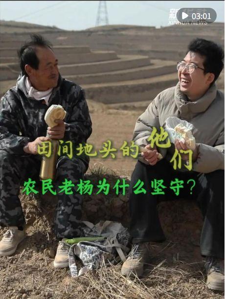 农民视频,农民辛勤耕耘的生动写照