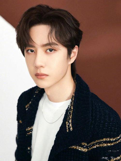 吴奇隆爆料杨紫视频大全,视频大全曝光