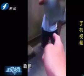 视频 逼逼,揭秘网络热词背后的文化现象