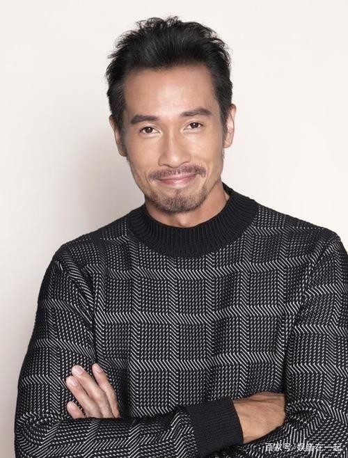香港TVB男明星林,TVB男星的璀璨星途与魅力风采
