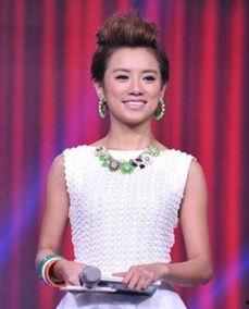 浙江卫视那个明星,璀璨星辉下的精彩瞬间