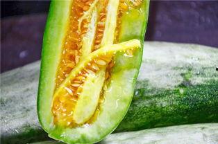 网红瓜到底在哪里吃的啊,探寻瓜界网红的美食足迹