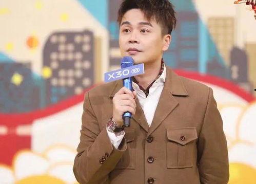 沈涛明星,星光璀璨的演艺之路