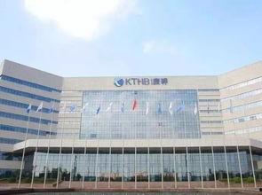 康婷最新爆料,揭秘行业内幕，揭开神秘面纱