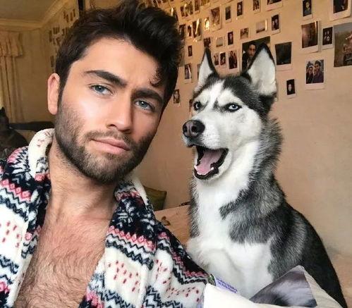 视频爆料二哈王子,揭秘网红狗狗的爆笑日常