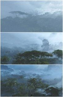 大森林视频,探寻自然奥秘的绿色画卷