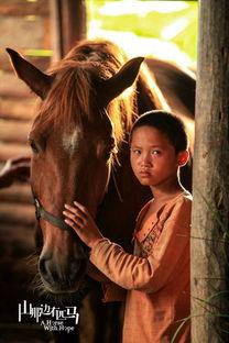 马电影免费观看,畅享影视盛宴的便捷之道